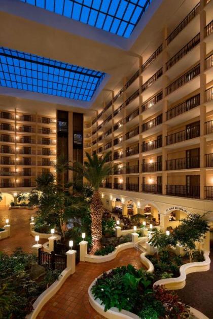 Four Points by Sheraton Suites Tampa Airport Westshore - image 4